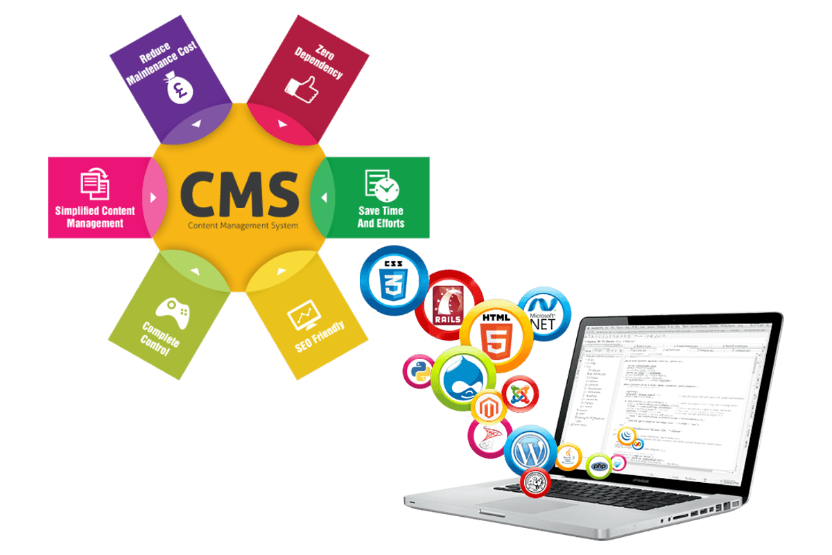 dynamic website